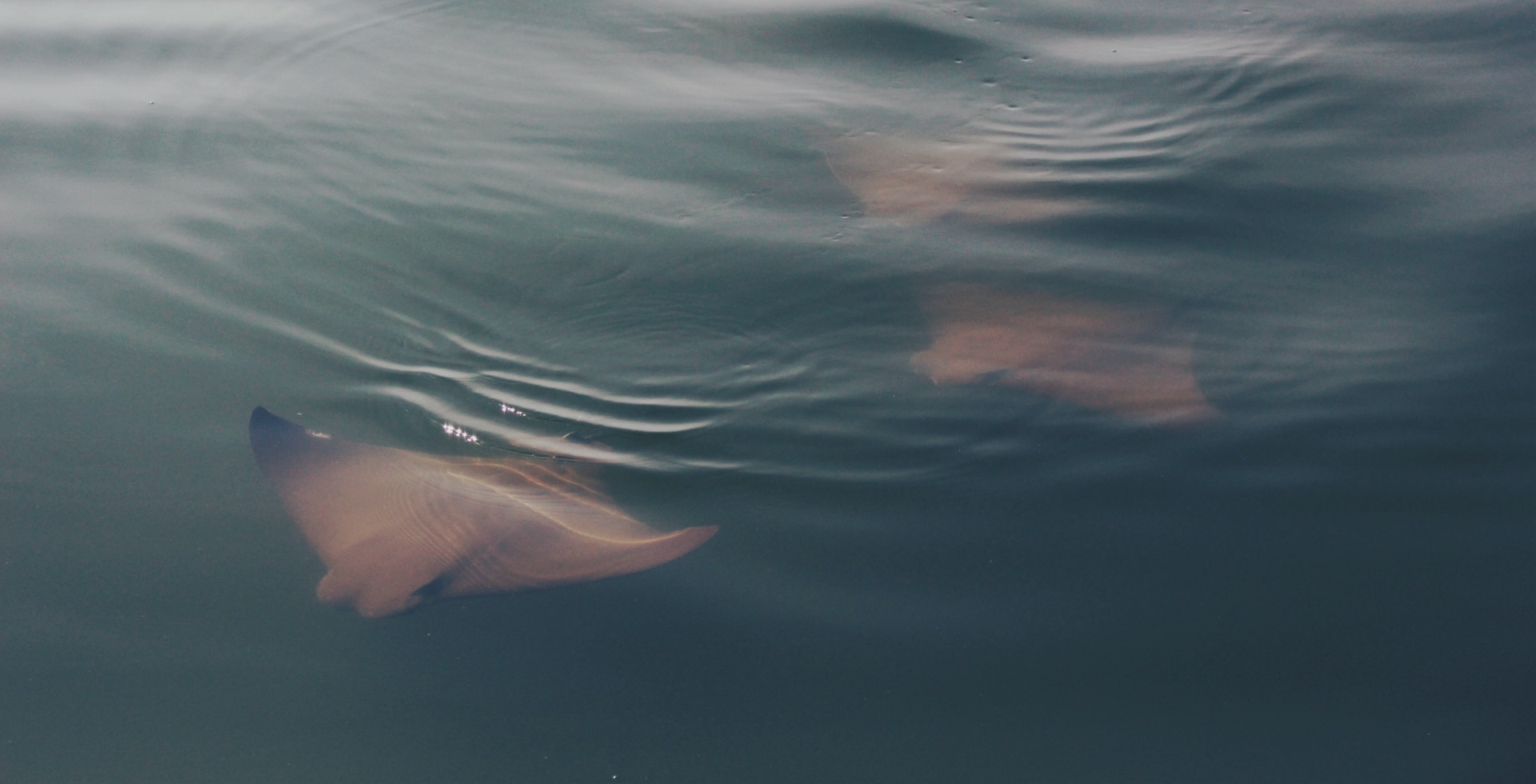 HomePage-Water.jpg